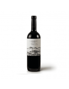 OLDENBURG Rondekop Rhodium,...