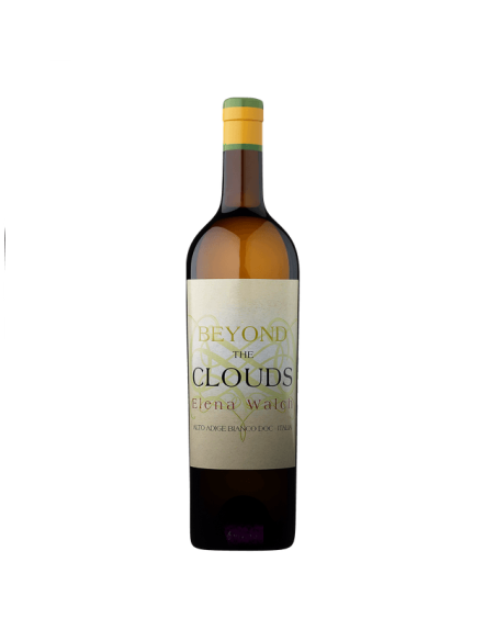 ELENA WALCH Beyond the Clouds DOC, 2022