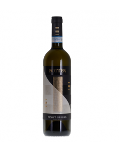BOTTER Pinot Grigio, 2024,...