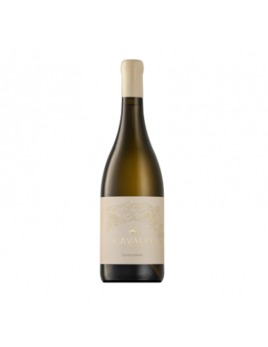 CAVALLI Chardonnay, Stellenbosch, 2023