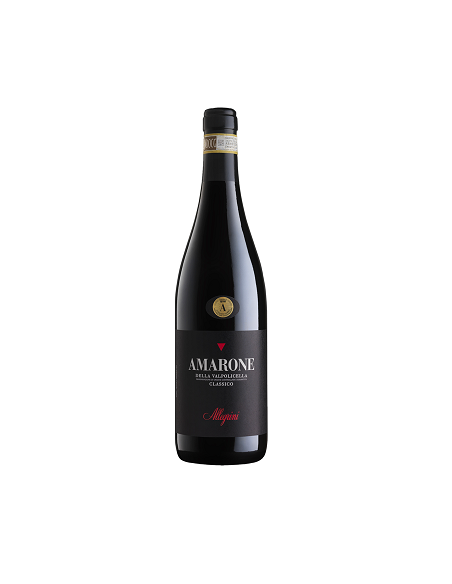 ALLEGRINI Amarone Della Valpolicella Classico DOCG, 2016