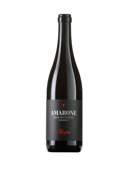 ALLEGRINI Amarone della Valpolicella Classico DOCG, 2019