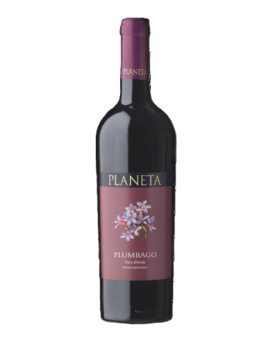 PLANETA Plumbago Rosso Bio DOC Menfi,...