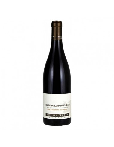 Domaine PHILIPPE CHERONChambolle... Domaine PHILIPPE CHERONChambolle...